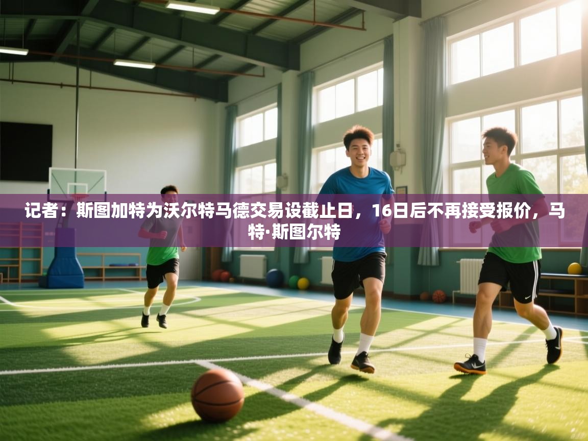 记者:斯图加特为沃尔特马德交易设截止日,16日后不再接受报价,马特·斯图尔特 第2张