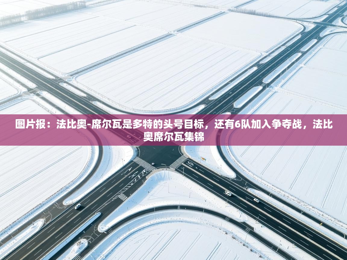 图片报：法比奥-席尔瓦是多特的头号目标，还有6队加入争夺战，法比奥席尔瓦集锦  第1张