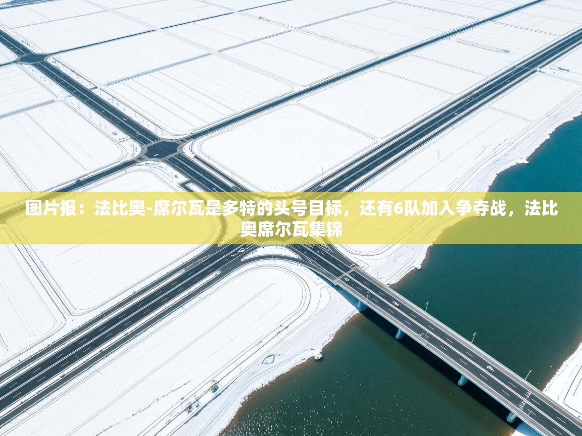 图片报：法比奥-席尔瓦是多特的头号目标，还有6队加入争夺战，法比奥席尔瓦集锦  第2张